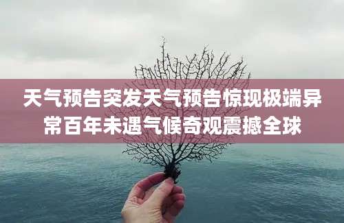 天气预告突发天气预告惊现极端异常百年未遇气候奇观震撼全球