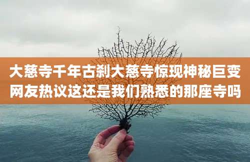 大慈寺千年古刹大慈寺惊现神秘巨变网友热议这还是我们熟悉的那座寺吗