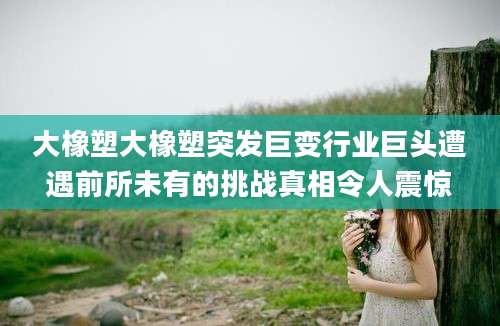 大橡塑大橡塑突发巨变行业巨头遭遇前所未有的挑战真相令人震惊