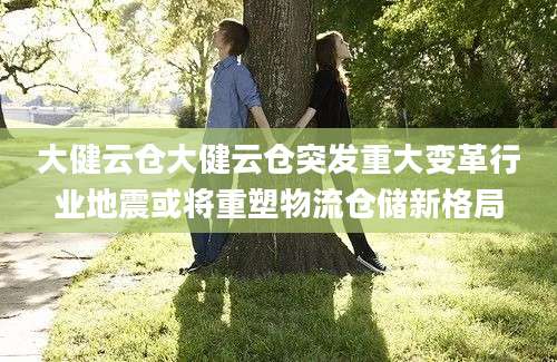 大健云仓大健云仓突发重大变革行业地震或将重塑物流仓储新格局