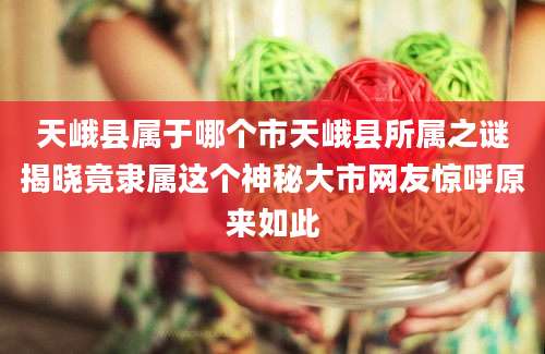 天峨县属于哪个市天峨县所属之谜揭晓竟隶属这个神秘大市网友惊呼原来如此