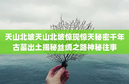 天山北坡天山北坡惊现惊天秘密千年古墓出土揭秘丝绸之路神秘往事