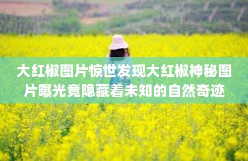 大红椒图片惊世发现大红椒神秘图片曝光竟隐藏着未知的自然奇迹