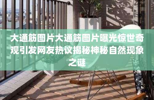 大通筋图片大通筋图片曝光惊世奇观引发网友热议揭秘神秘自然现象之谜