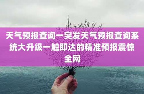 天气预报查询一突发天气预报查询系统大升级一触即达的精准预报震惊全网