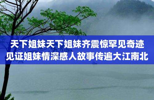 天下姐妹天下姐妹齐震惊罕见奇迹见证姐妹情深感人故事传遍大江南北
