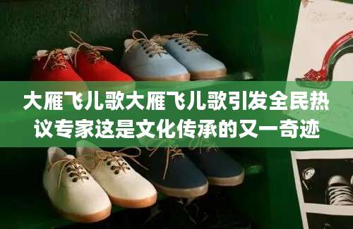大雁飞儿歌大雁飞儿歌引发全民热议专家这是文化传承的又一奇迹
