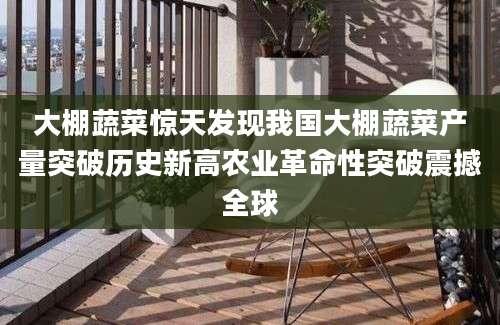 大棚蔬菜惊天发现我国大棚蔬菜产量突破历史新高农业革命性突破震撼全球