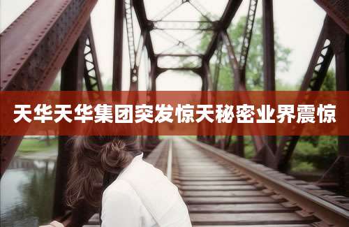 天华天华集团突发惊天秘密业界震惊