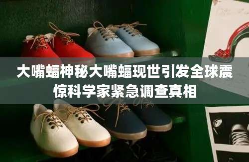 大嘴蝠神秘大嘴蝠现世引发全球震惊科学家紧急调查真相