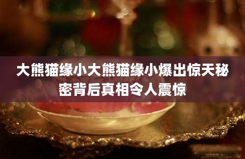 大熊猫缘小大熊猫缘小爆出惊天秘密背后真相令人震惊