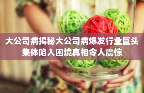 大公司病揭秘大公司病爆发行业巨头集体陷入困境真相令人震惊
