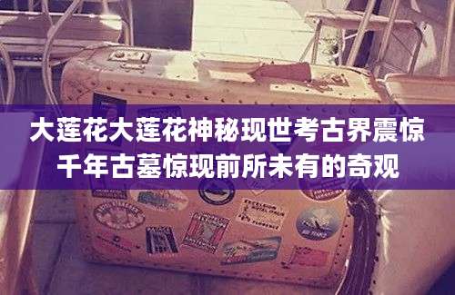 大莲花大莲花神秘现世考古界震惊千年古墓惊现前所未有的奇观