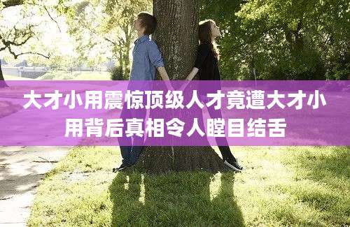 大才小用震惊顶级人才竟遭大才小用背后真相令人瞠目结舌