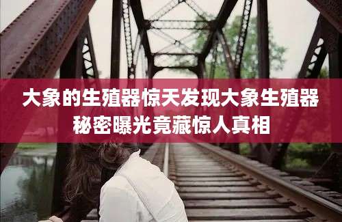大象的生殖器惊天发现大象生殖器秘密曝光竟藏惊人真相