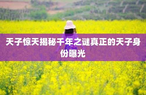 天子惊天揭秘千年之谜真正的天子身份曝光