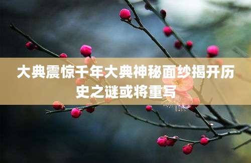 大典震惊千年大典神秘面纱揭开历史之谜或将重写