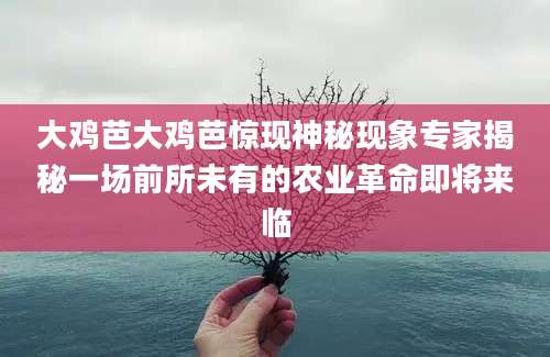 大鸡芭大鸡芭惊现神秘现象专家揭秘一场前所未有的农业革命即将来临