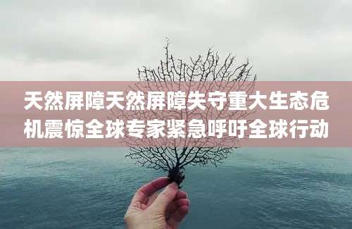 天然屏障天然屏障失守重大生态危机震惊全球专家紧急呼吁全球行动