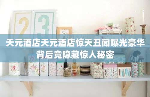 天元酒店天元酒店惊天丑闻曝光豪华背后竟隐藏惊人秘密