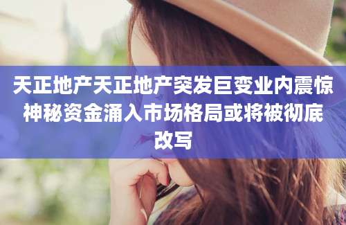 天正地产天正地产突发巨变业内震惊神秘资金涌入市场格局或将被彻底改写