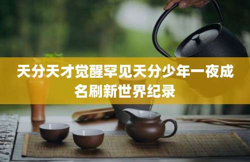 天分天才觉醒罕见天分少年一夜成名刷新世界纪录