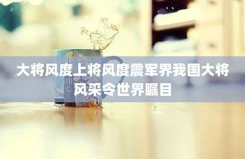 大将风度上将风度震军界我国大将风采令世界瞩目