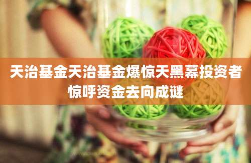 天治基金天治基金爆惊天黑幕投资者惊呼资金去向成谜