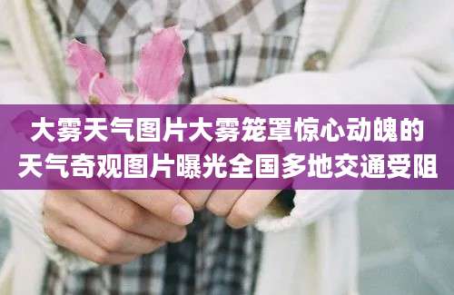 大雾天气图片大雾笼罩惊心动魄的天气奇观图片曝光全国多地交通受阻