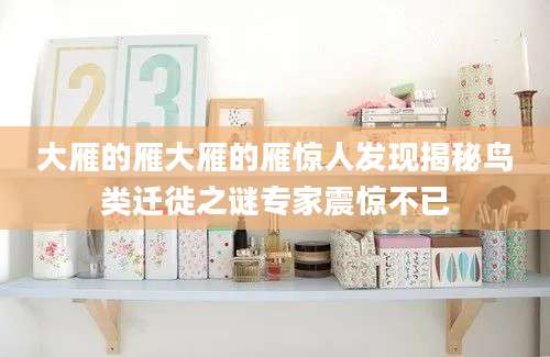 大雁的雁大雁的雁惊人发现揭秘鸟类迁徙之谜专家震惊不已