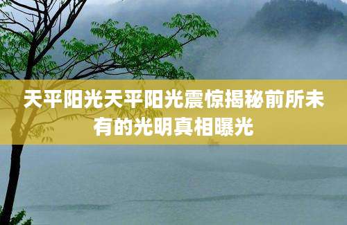 天平阳光天平阳光震惊揭秘前所未有的光明真相曝光