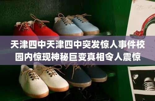 天津四中天津四中突发惊人事件校园内惊现神秘巨变真相令人震惊