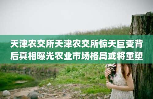 天津农交所天津农交所惊天巨变背后真相曝光农业市场格局或将重塑