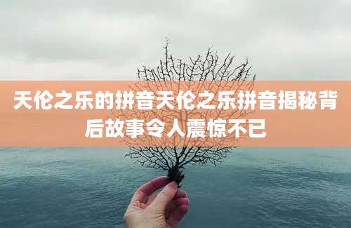 天伦之乐的拼音天伦之乐拼音揭秘背后故事令人震惊不已
