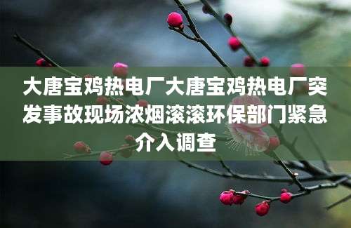 大唐宝鸡热电厂大唐宝鸡热电厂突发事故现场浓烟滚滚环保部门紧急介入调查