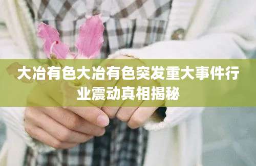 大冶有色大冶有色突发重大事件行业震动真相揭秘