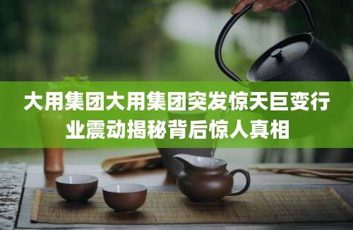 大用集团大用集团突发惊天巨变行业震动揭秘背后惊人真相