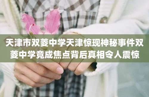 天津市双菱中学天津惊现神秘事件双菱中学竟成焦点背后真相令人震惊