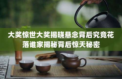 大奖惊世大奖揭晓悬念背后究竟花落谁家揭秘背后惊天秘密
