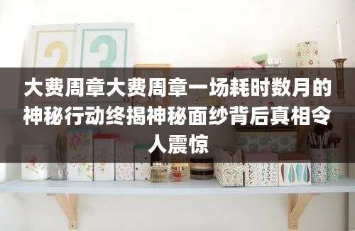 大费周章大费周章一场耗时数月的神秘行动终揭神秘面纱背后真相令人震惊