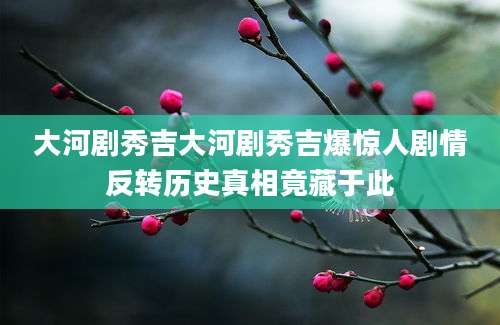 大河剧秀吉大河剧秀吉爆惊人剧情反转历史真相竟藏于此