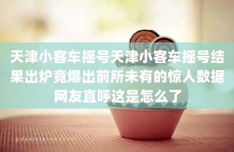 天津小客车摇号天津小客车摇号结果出炉竟爆出前所未有的惊人数据网友直呼这是怎么了