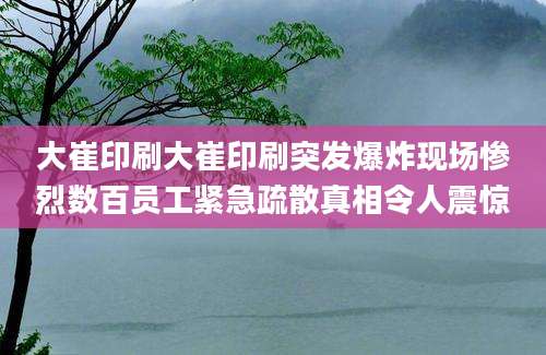 大崔印刷大崔印刷突发爆炸现场惨烈数百员工紧急疏散真相令人震惊