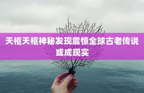 天枢天枢神秘发现震惊全球古老传说或成现实