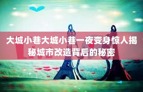 大城小巷大城小巷一夜变身惊人揭秘城市改造背后的秘密