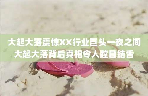 大起大落震惊XX行业巨头一夜之间大起大落背后真相令人瞠目结舌