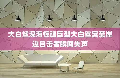 大白鲨深海惊魂巨型大白鲨突袭岸边目击者瞬间失声