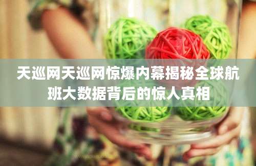 天巡网天巡网惊爆内幕揭秘全球航班大数据背后的惊人真相
