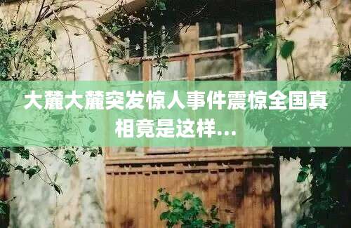 大麓大麓突发惊人事件震惊全国真相竟是这样...