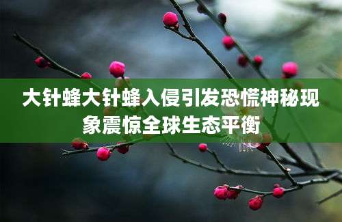 大针蜂大针蜂入侵引发恐慌神秘现象震惊全球生态平衡